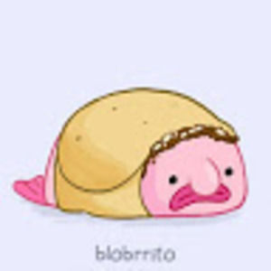 Meet your Posher, Nicholas